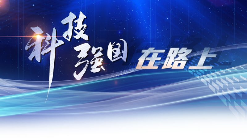 智能客服电话系统：如何选择最适合您的解决方案**